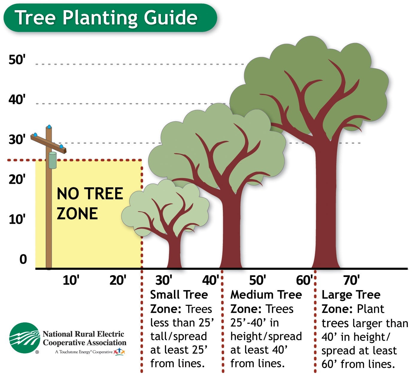 Tree Planting