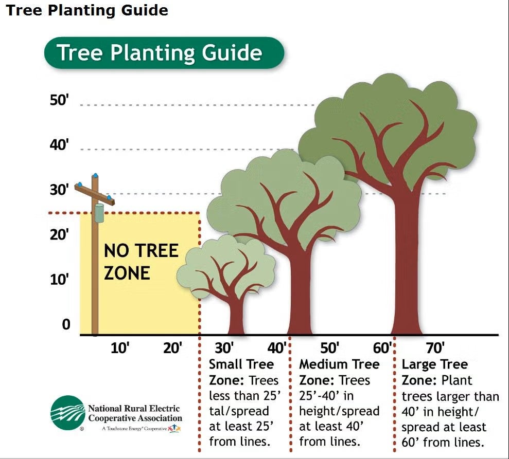 Tree planting guide