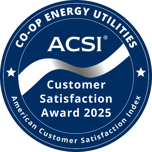 ACSI Customer Satisfaction Award 2025